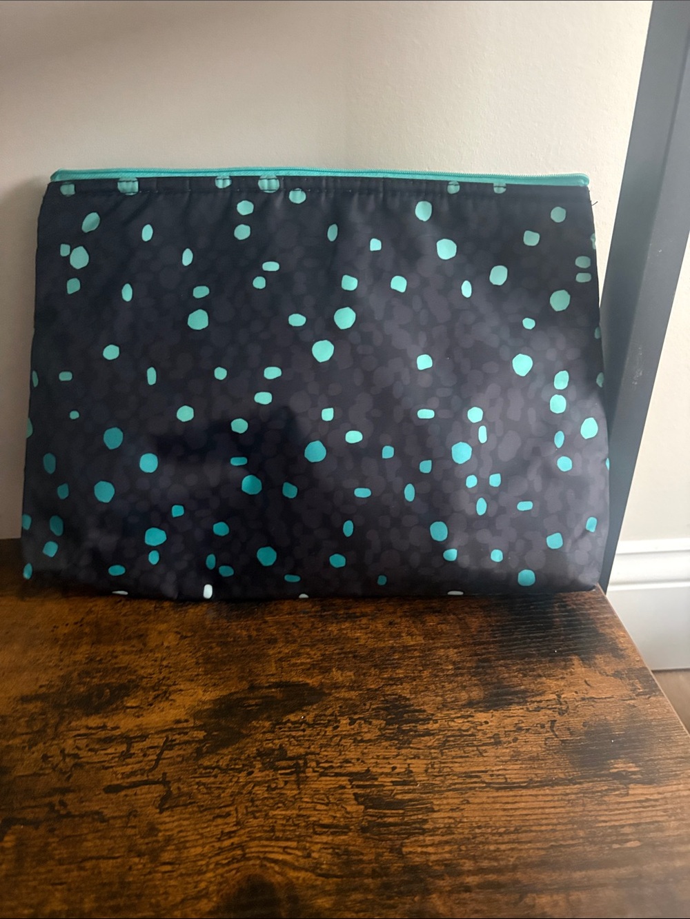 thirty-one Silver Insulated Pouch with Teal Zipper Trim